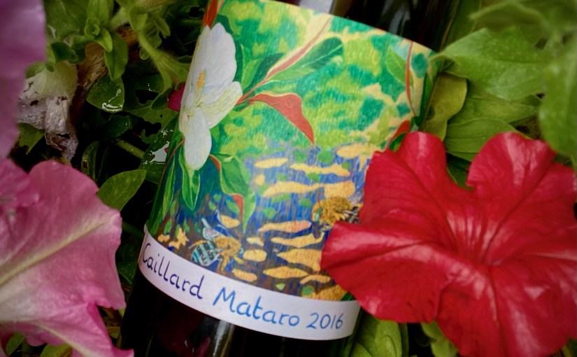 2016 Caillard Mataro